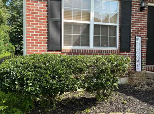 Bush Trimming by Jacob Enderle for Jasmyn N. in Amelia, OH