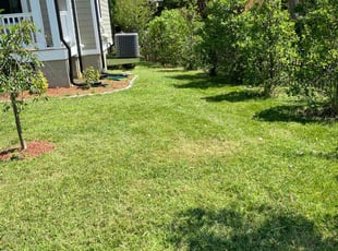 Thoa K.'s Lawn Care service result