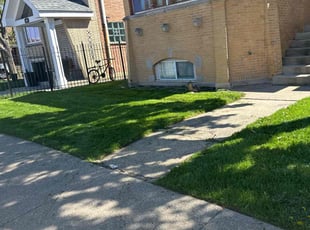 Brandon D.'s Lawn Care service result
