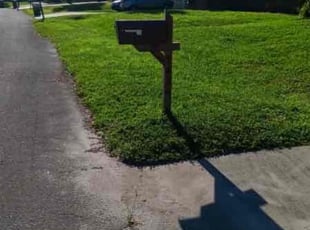 Chasity P.'s Lawn Care service result