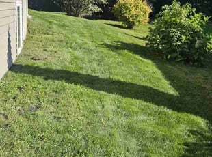 cynthia w.'s Lawn Service service result