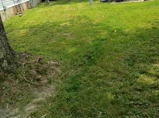 Cleanups by Frank Koller for Crystal A. in Plainfield, IN