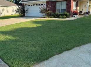 Maryke E.'s Lawn Mowing Service service result