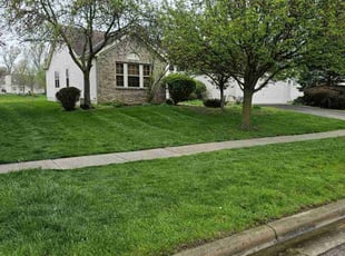 Ann H.'s Lawn Care service result