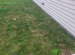 Weeding by Robert Cole for Monika W. in Indianapolis, IN