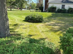Stan r.'s Lawn Mowing service result