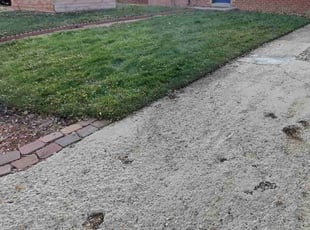 Leaf Removal by Trent Young for Suzanna H. in Denver, CO