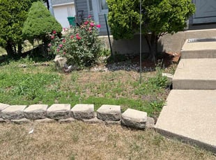 Weeding by Mike Kazlauskas for Nina B. in Joliet, IL