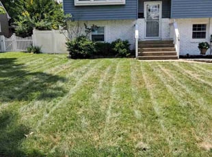 Gerry C.'s Lawn Mowing Service service result