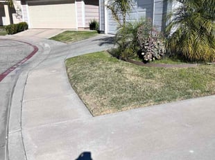 Phyllis M.'s Grass Cutting service result