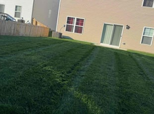 Cassaundra R.'s Lawn Service service result