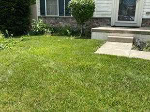 Bush Trimming by Ted Reimel for Kim N. in Mount Royal, NJ