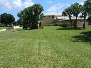 Cordell K.'s Lawn Service service result