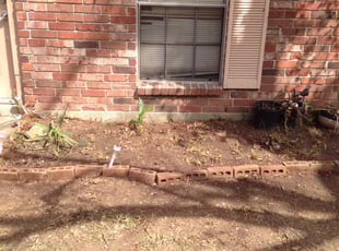 Weeding by Brandon Underwood for Geraldine B. in Baton Rouge, LA