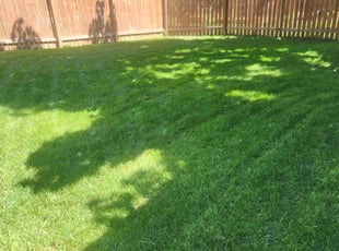John S.'s Lawn Care service result