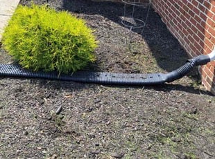 Weeding by Manny Chavez for Coach C. in Lorton, VA
