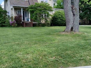 Bianca C.'s Lawn Service service result