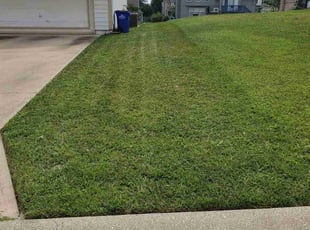 Judy R.'s Yard Cutting service result
