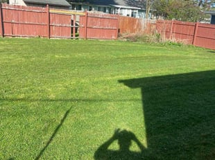 Seemi J.'s Lawn Care service result