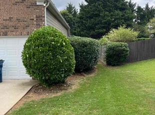 Bush Trimming by Mark King for Carol C. in Auburn, GA