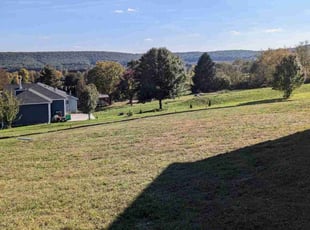 Jenny Z.'s Lawn Care service result