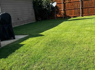 Britny P.'s Lawn Care service result