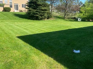 Lorraine A.'s Grass Cutting service result