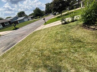 Exzoy H.'s Lawn Service service result