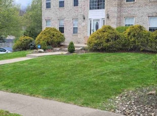 Dorothy E.'s Lawn Mowing Service service result