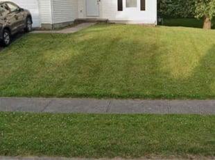 Markus J.'s Lawn Mowing service result