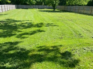 Robin S.'s Grass Cutting service result