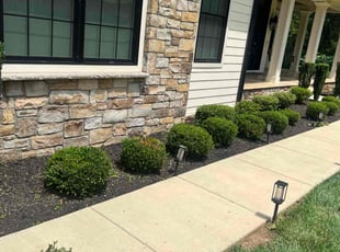 Bush Trimming by Alberth Ariel Aguilar-Alvarez for Etomgi O. in McLean, VA