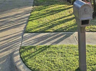 Sinoi H.'s Lawn Mowing service result