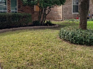 Cleanups by Macey Wheeler for Daniel A. in Garland, TX