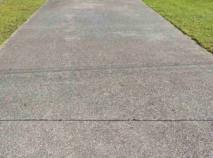 Carrie C.'s Lawn Care service result