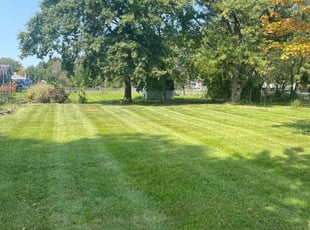 Richard C.'s Lawn Service service result