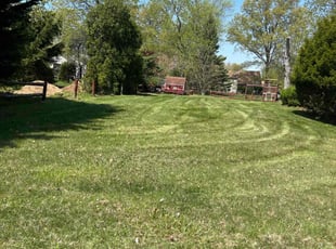 Steve M.'s Lawn Care service result