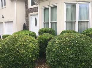 Bush Trimming by Jaden Curtis for Mary T. in Stone Mountain, GA