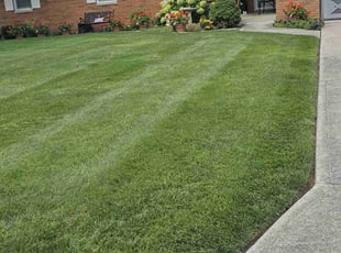 David M.'s Lawn Maintenance service result