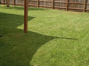 Randy Y.'s Lawn Service service result