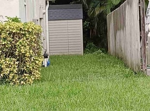 Landscaping by Nicholas Smith for Martha D. in Boca Raton, FL