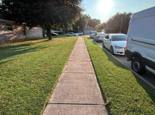 Joseph D.'s Grass Cutting service result