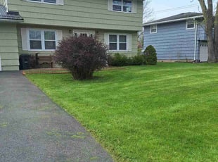 Derick D.'s Lawn Mowing Service service result