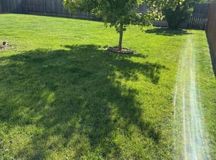 Mitchell H.'s Grass Cutting service result