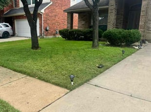 Cynthia L.'s Lawn Service service result