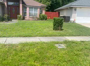 Bush Trimming by Charles Ohonba for Trish A. in Jacksonville, FL