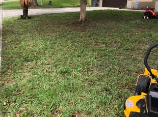Leaf Removal by Jose Disla; for Mike J. in Davenport, FL