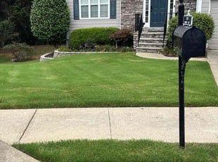 Nikki M.'s Lawn Care service result