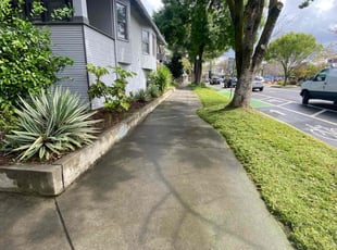 Kevin H.'s Lawn Care service result