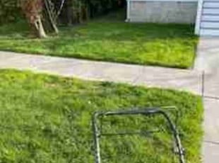 Tedd S.'s Lawn Care service result